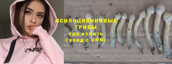 винт Наволоки