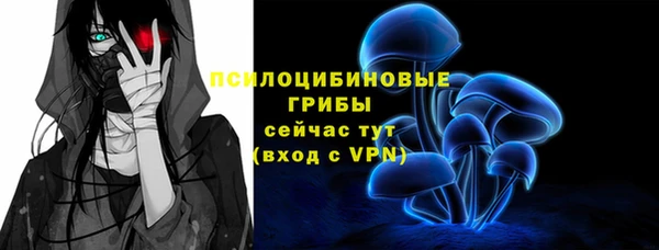 a pvp Надым
