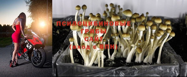 тгк Вуктыл