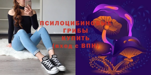 a pvp Надым