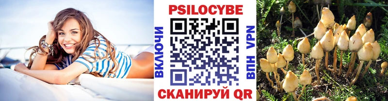 Галлюциногенные грибы Psilocybine cubensis гидра как войти Сретенск цена наркотик